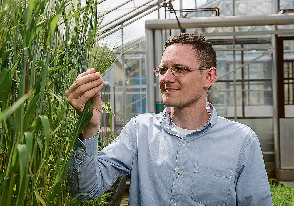 Matthew Moscou of the Sainsbury Lab says the field of nonhost resistance hopes to identify new ways to protect crops from pathogens.  |  Photo courtesy of the Sainsbury Lab