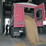 Analysts say producers should establish a floor price at today’s values and use call options to enable them to participate in any future rallies. | File photo