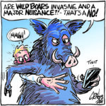 Call to protect wild pigs a careless disregard for ag