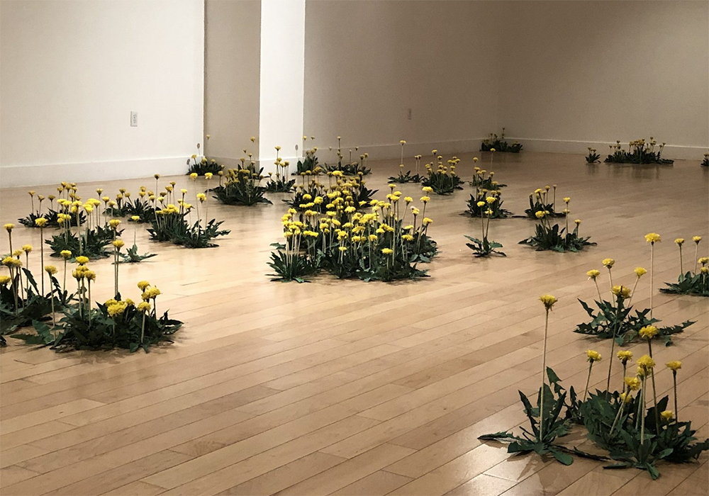 Saskatoon artist Monique Martin has created an installation called Context is Everything, and what she’s done is stick hundreds of paper dandelions in empty buildings and store front windows. | Screencap via moniqueart.com