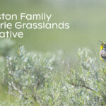 The $25-million project announced by the Weston Family Foundation is expected to accelerate stewardship efforts on four million acres in all three prairie provinces over the next five years. | Screencap via westonfoundation.org