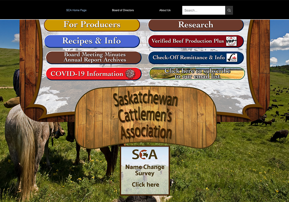 Chair Arnold Balicki said an online survey is one way that the organization, which represents all Saskatchewan producers who pay check-off fees, is gauging what its members want.  | Screencap via saskbeef.com