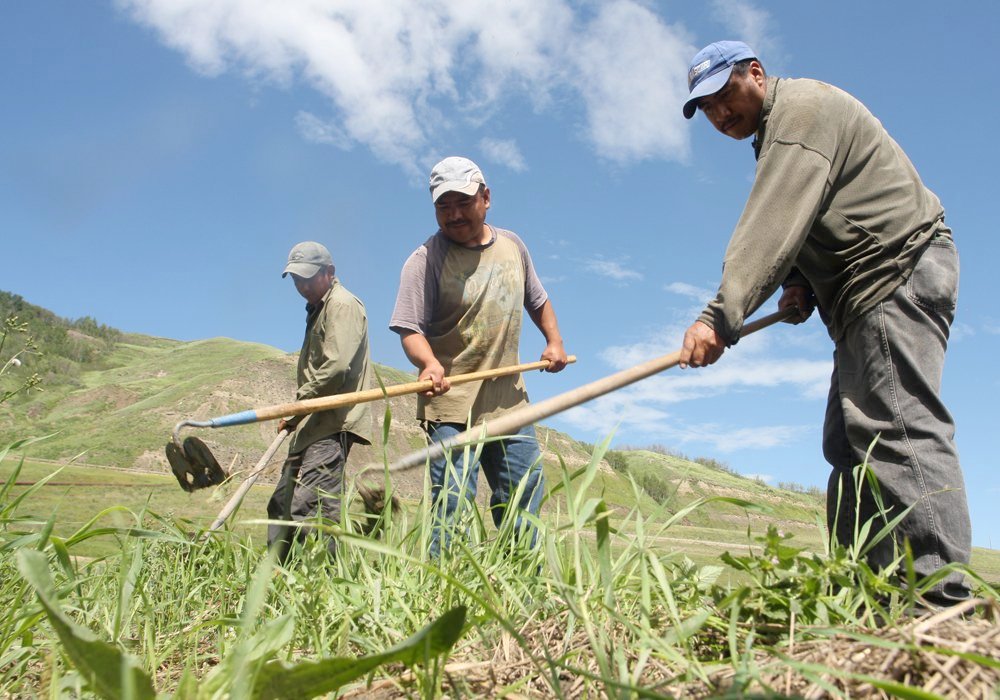Minister Bibeau said the consultations with farm groups and provinces to find the best procedures are ongoing, but "we are finalizing the process with provinces and the producers." | File photo