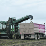 A total of 29,803 acres of beets were planted in southern Alberta last year, all under contract with Lantic Sugar. | File photo