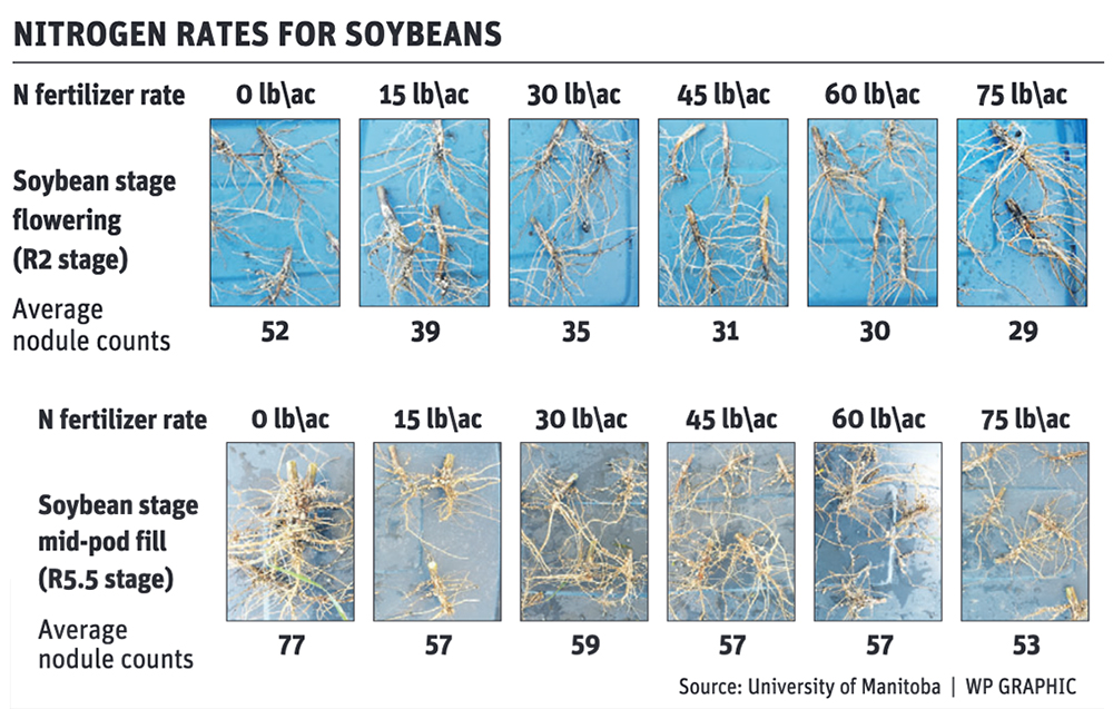 Hold the nitrogen when planting soybeans