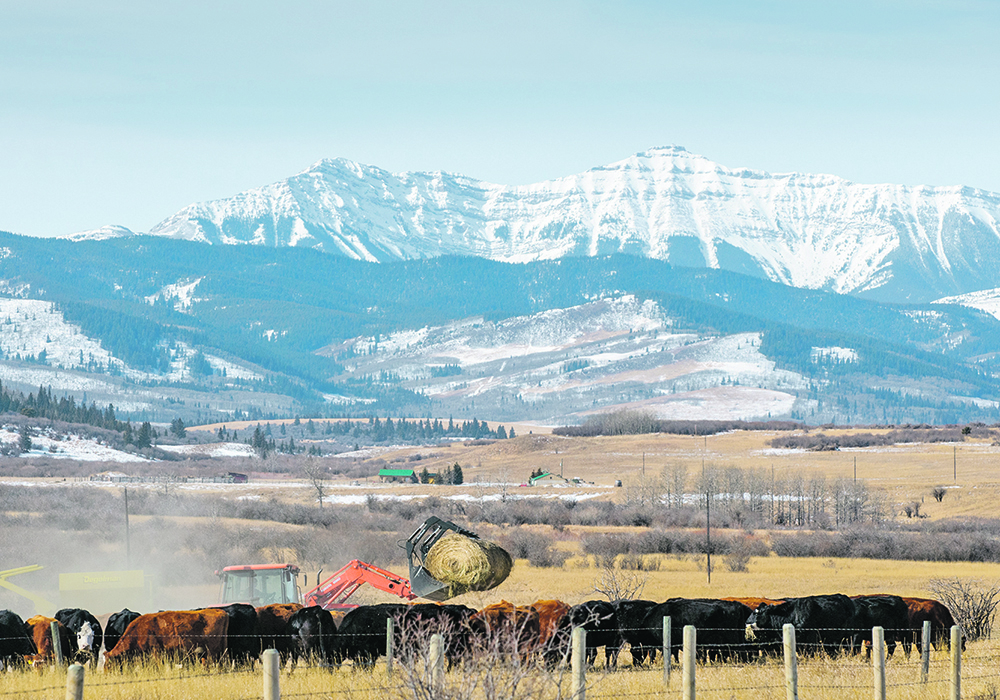 The writer argues that the provincial government has seriously misjudged the sentiments of Albertans and their deep-seated appreciation of the Eastern Slopes. | Mike Sturk photo
