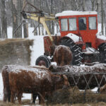 “We need to have tools that help us better manage the risks of weather, trade and production,” said Bob Lowe, president of the Canadian Cattlemen’s Association. | File photo