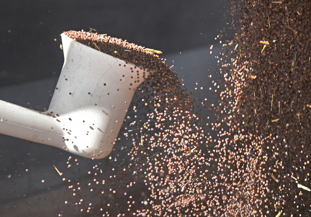 It wasn’t wrong for the canola industry, led partly by farmer organizations, to champion aggressive targets. Why wouldn’t the industry strive to achieve what looked in 2013 to be achievable, if still daunting?  | File photo