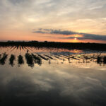 AgriStability had many predecessor programs and while the acronyms were different, the programs all worked in much the same way. If there’s some new and better approach, let’s see it. | File photo