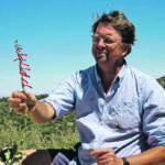 Ian Baldwin of the Max Planck Institute for Chemical Ecology studies how plants defend themselves from herbivores. | Max Planck Institute for Chemical Ecology photo