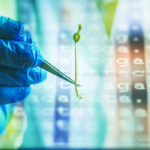 To develop the new guidelines, Health Canada experts reviewed the science around gene-edited crops and concluded that the technology is safe for human consumption and the environment. | Getty Images