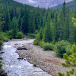Producers have launched two independent studies to look at the potential impact of such projects on areas such as this in the Mt. Livingston Range, said Laura Laing of the Plateau Cattle Co. | Laura Laing photo