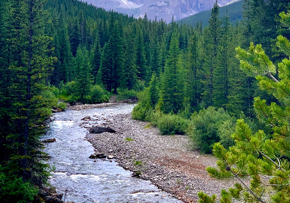 Producers have launched two independent studies to look at the potential impact of such projects on areas such as this in the Mt. Livingston Range, said Laura Laing of the Plateau Cattle Co. | Laura Laing photo