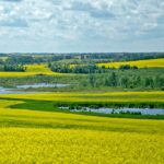 Health Canada has placed restrictions on certain uses but rules the insecticides are generally not a threat to aquatic insects. | File photo