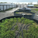The biobed built by Farming Smarter uses a tank to hold rinsate, two stages, and a buried tank to hold the cleaned water. Plants are used in the two biobed stages to help monitor how active the herbicides are that are being broken down in the biobeds. | Farming Smarter photo