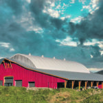 MegaDome Structures have a variety of designs. Frames are pre-galvanizing tubing, welded with non-corroding silicon-broze welding and are then hot-dipped for 25 year protection. Cost per square foot runs from $10 to $15 depending on specific requirements. | MegaDome photo