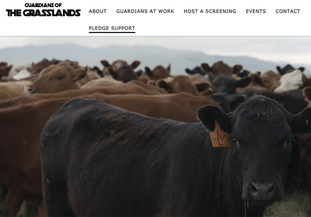 The collaboration will support the development of agriculture education resources including a teacher guide for Guardians of the Grasslands, a documentary that explores the state of the Great Plains grasslands and the role cattle play in its survival. | Screencap via guardiansofthegrasslands.ca