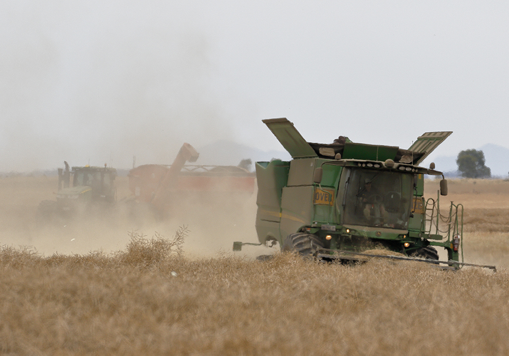 The USDA’s Foreign Agricultural Service (FAS) is forecasting 3.9 million tonnes of production, slightly below last year’s bumper crop of four million tonnes. | Flickr/Ed Dunens photo