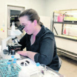 Allison Squires uses an OMAX 40X-2500X LED digital trinocular compound microscope to check a sample of vermicompost to make sure it has a high diversity of biology before she uses it to make the compost tea with which she will coat seeds this spring. | Cody Straza photo
