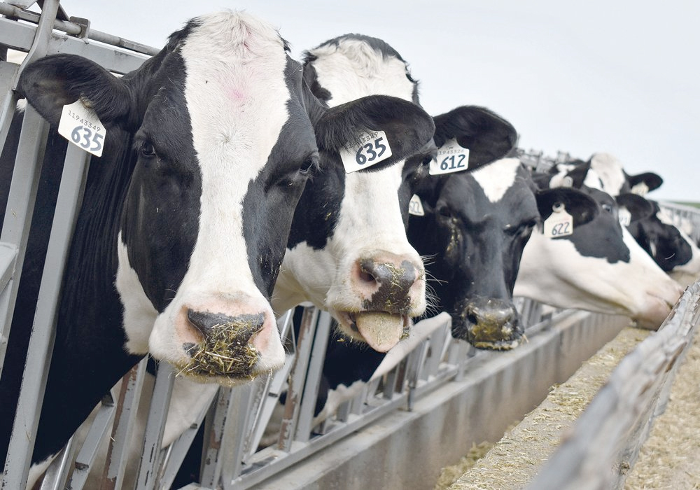 Agriculture minister Marie-Claude Bibeau said April 8 that 9,682 farmers had registered for this year’s program. | File photo