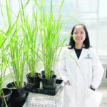 Florence Danila of Australian National University’s ARC Centre of Excellence for Translational Photosynthesis has discovered how plants improve photosynthesis by trapping carbon dioxide inside cell layers. | ANU photo
