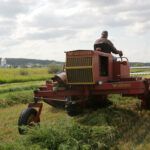 Are farmers in a déjà vu-all-over-again situation? | File photo