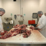 British Columbia’s Small-Scale Meat Producers Association was recently informed of new regulations designed to help producers by opening up more slaughter options and marketing opportunities. | File photo