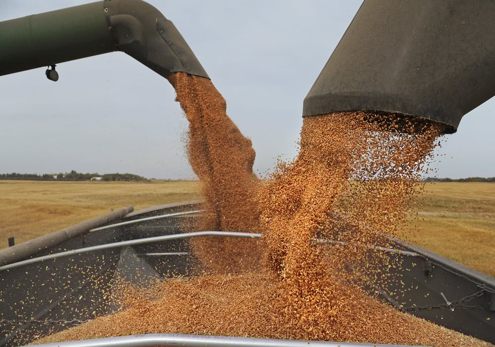 Brennan Turner, CEO of Combyne, believes the new Chinese guidelines will be a blessing for Prairie farmers because it opens the door for the importation of competing feed ingredients like wheat, barley and peas. | File photo