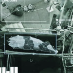 CattleEye uses inexpensive security camera footage and artificial intelligence algorithms to identify specific cattle and then watches them for signs of lameness. | CattleEye photo