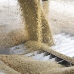 Reports indicate Indian importers have purchased 500,000 tonnes of Canadian lentils in anticipation of a reduction in the country’s import duty on the crop. | File photo