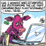 Easier to raise myths than sustainably produced beef