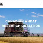 Under the new deal announced May 3, the U of A wheat breeding program headed by Dean Spaner will receive core funding worth $2 million over about five years. | Screencap via wheatresearch.ca
