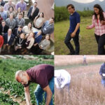 Funds valued at $21.4 million is being made through the Youth Employment and Skills Program (YESP) to help agri-food employers fill vacant positions with people between the ages of 15 and 30. | Screncap via Twitter/@mclaudebibeau