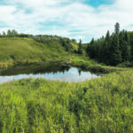 The Bower property has been donated to the Nature Conservancy of Canada by James Bowers’ granddaughters. | NCC/Brent Calver photo