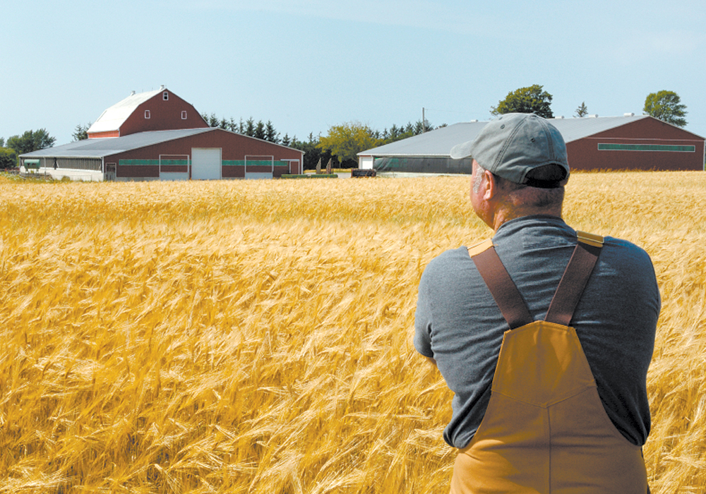 Farm families could benefit by embracing the concept of a predetermined transition. | File photo
