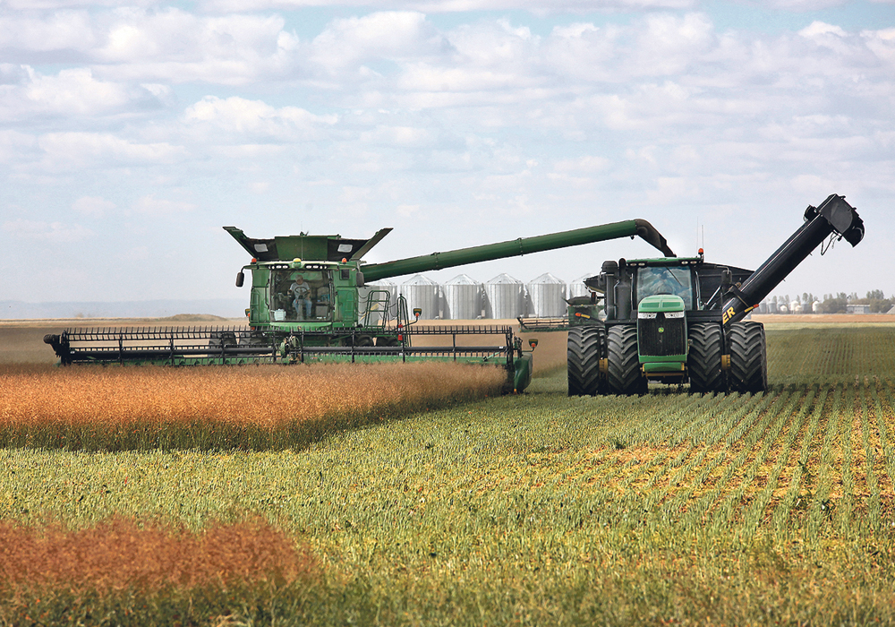 Recent research looked at how farmers can adjust their combine settings as humidity levels change throughout the day. By regularly checking their loss pans and tweaking their settings, farmers can put an extra two bushels per acre in their bins and reduce volunteer weeds for years to come. | File photo
