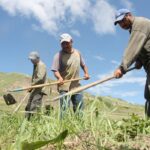 Advocates contend the new program is the latest in a series of public policy failures surrounding migrant workers. | File photo