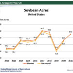 Mac Marshall, vice-president of market intelligence with the U.S. Soybean Export Council, said oil used to account for 30 to 35 percent of the value of soybeans. These days it is closer to 40 to 45 percent and that is likely to remain the case for years to come. | USDA graphic