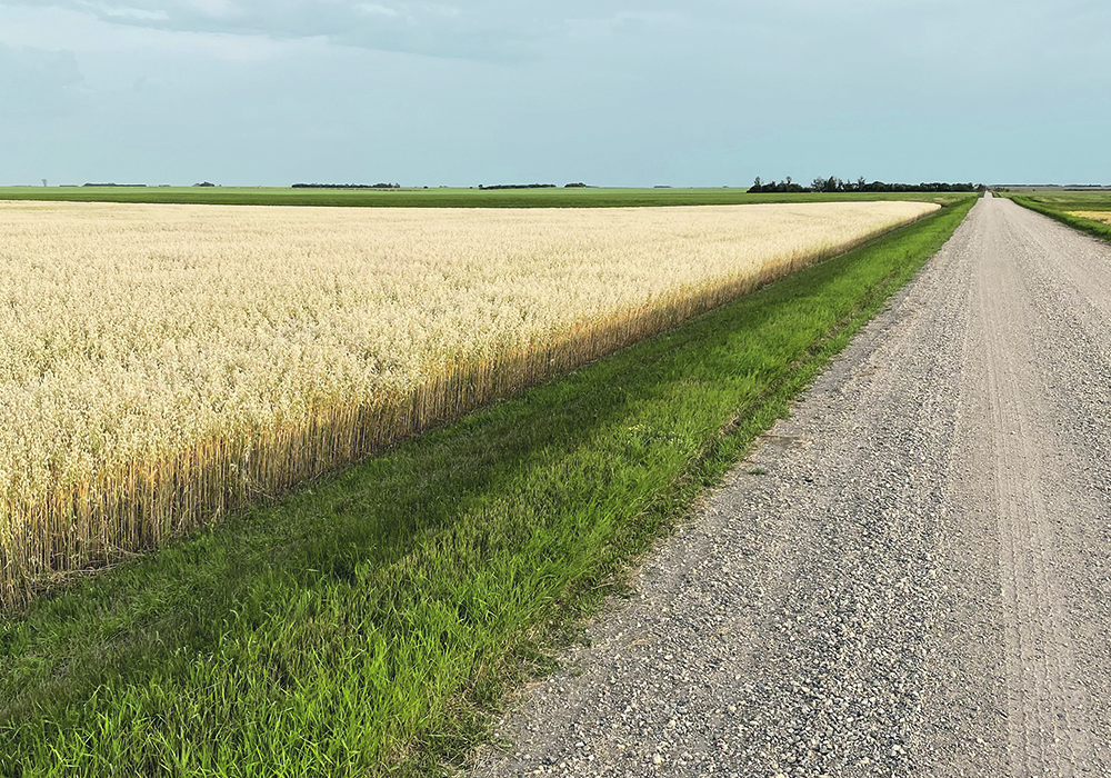 With a land purchase creating a multi-year liability, farmers need to consider how their working capital will be affected by the decision to rent or buy. | Brian Cross photo