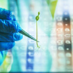 A study recently published by the European Commission says current legislation on genetically modified organisms adopted in 2001 is not up to the task of regu-lating gene-edited crops and is in need of modernization. | Getty Images