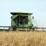 Statistics Canada forecasts 358,000 seeded acres but a broker says that may be too high. | File photo