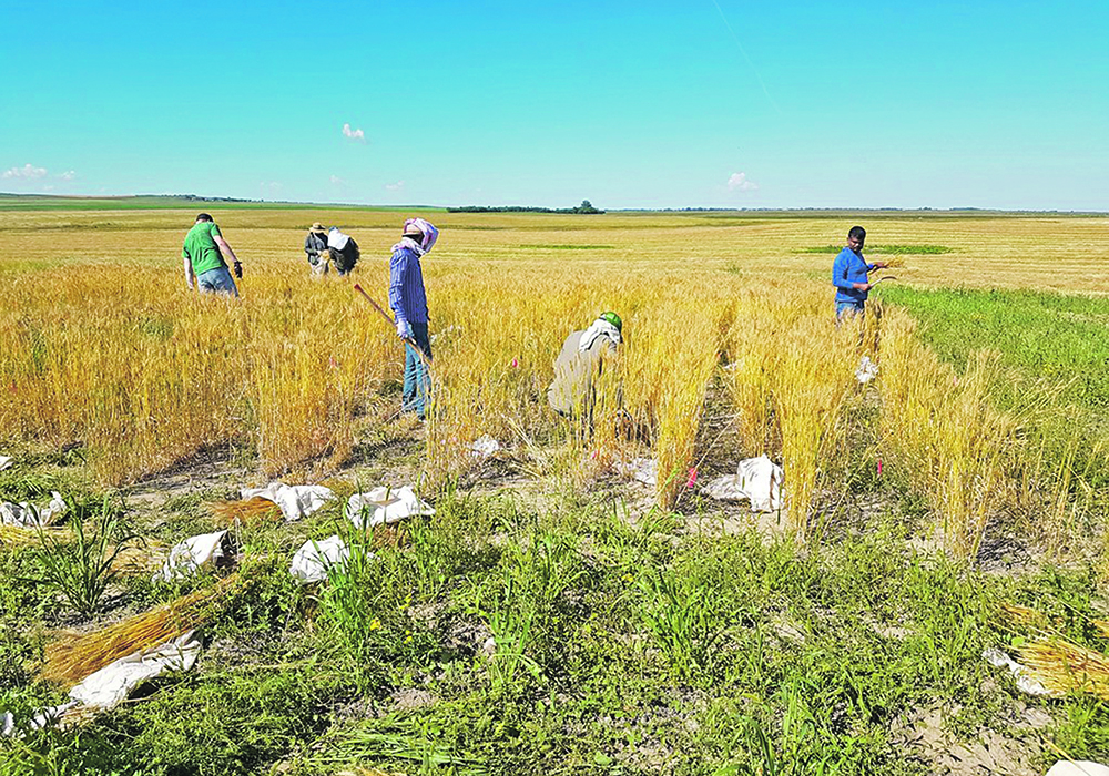 The research team gathers material for the study.  |  University of Saskatchewan photo