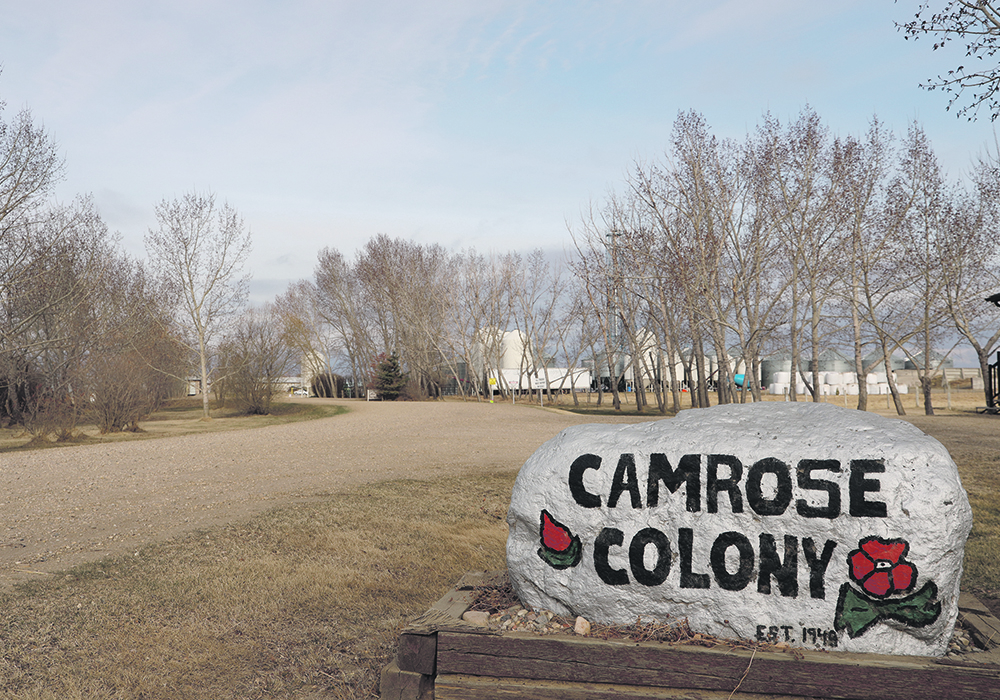 Older members of Hutterite colonies often do the lighter chores like mowing grass, watering trees, gardening and cleaning. For others, it is a time to travel and visit friends and relatives. | Mary MacArthur photo