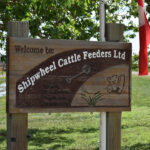 Shipwheel Cattle Feeders Ltd. of Taber, operated by the Holtman family, is a recipient of this year’s inaugural Alltech Canada Planet of Plenty Award. | Screencap via shipwheelcattlefeeders.ca