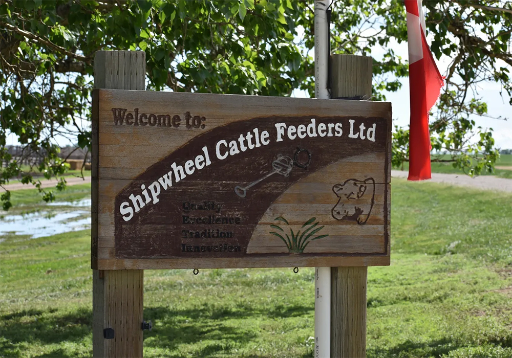 Shipwheel Cattle Feeders Ltd. of Taber, operated by the Holtman family, is a recipient of this year’s inaugural Alltech Canada Planet of Plenty Award. | Screencap via shipwheelcattlefeeders.ca