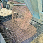 Red lentil yields could be well below average in Canada this year because of early-season drought and cool temperatures. | File photo