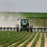 In a May 26 webinar, Refinitiv’s United States agriculture research manager, Libin Zhou, said the global soybean market is dealing with extremely low inventories in Brazil and the U.S., the world’s top two soybean producing and exporting nations. | File photo