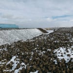 Stored sugar beets that aren’t sufficiently ventilated can be vulnerable to freezing and drying cycles from temperature swings due to extreme weather, which can damage the beets and cause them to start to rot and lose sugar. | Photo courtesy of Chandra Singh