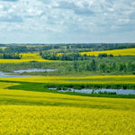 While higher prices are better than lower prices, historically, there has been a consequence to them. | File photo
