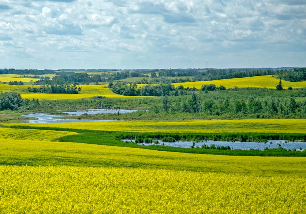 While higher prices are better than lower prices, historically, there has been a consequence to them. | File photo